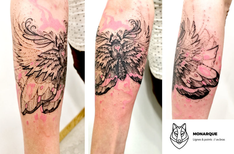 Tatoueur à Limoges - la ligne Sauvage